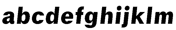 GTStandard SBlackOblique FONT