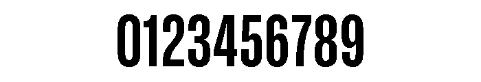 GTStandard SCondensedBold Font OTHER CHARS