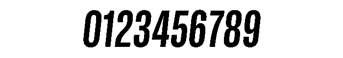 GTStandard SCondensedBoldOblique Font OTHER CHARS