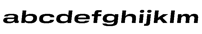 GTStandard SExpandedBoldOblique 2 FONT