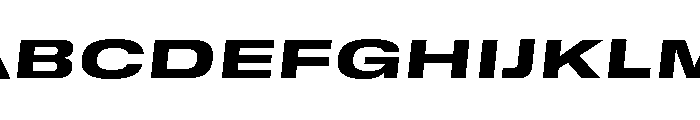 GTStandard SExpandedHeavyOblique 2 Font UPPERCASE