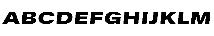 GTStandard SExtendedBlackOblique 2 Font UPPERCASE