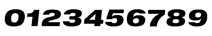 GTStandard SExtendedBlackOblique Font OTHER CHARS