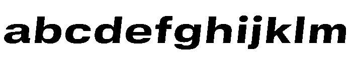 GTStandard SExtendedHeavyOblique 2 FONT