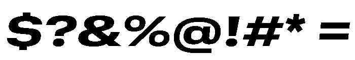 GTStandard SExtendedHeavyOblique Font OTHER CHARS