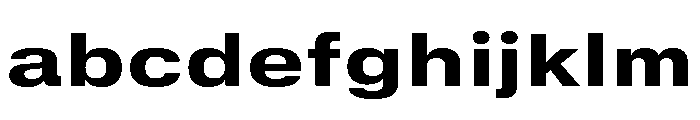 GTStandard SExtendedHeavy FONT
