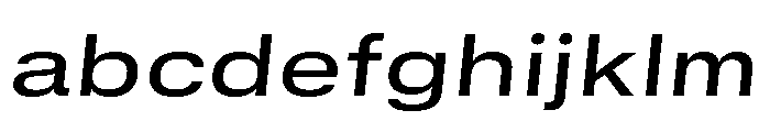 GTStandard SExtendedMediumOblique FONT
