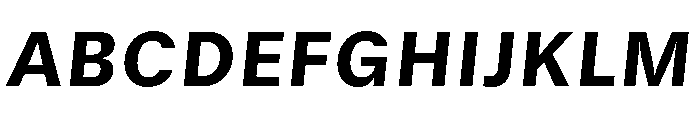 GTStandard SHeavyOblique Font UPPERCASE