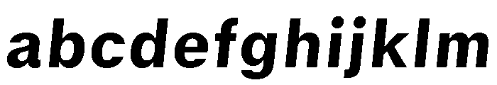 GTStandard SHeavyOblique FONT