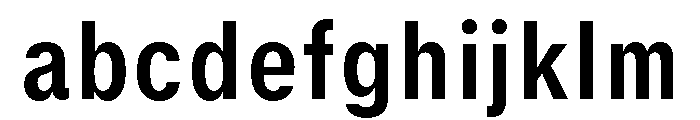 GTStandard SNarrowBold 2 FONT