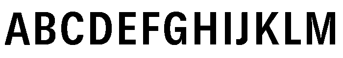 GTStandard SNarrowBold Font UPPERCASE