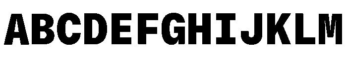 GTStandardMono Black Font UPPERCASE