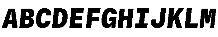 GTStandardMono BlackOblique 2 Font UPPERCASE
