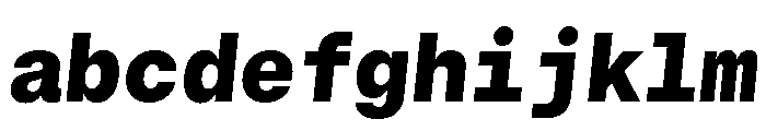 GTStandardMono BlackOblique 2 FONT