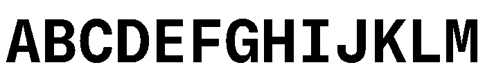 GTStandardMono Bold Font UPPERCASE