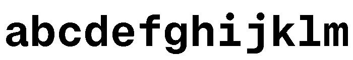 GTStandardMono Bold FONT