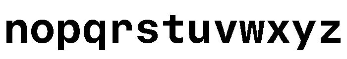 GTStandardMono Bold Font LOWERCASE