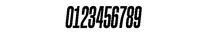 GTStandardMono CompressedBoldOblique Font OTHER CHARS