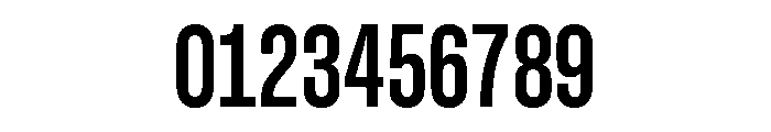 GTStandardMono CondensedBold Font OTHER CHARS