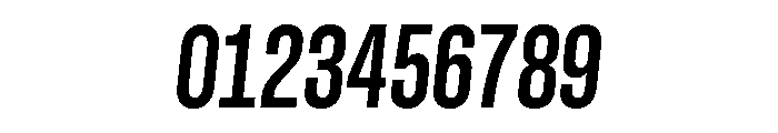 GTStandardMono CondensedBoldOblique Font OTHER CHARS