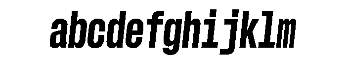 GTStandardMono CondensedHeavyOblique FONT