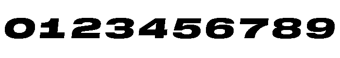 GTStandardMono ExpandedBlackOblique Font OTHER CHARS