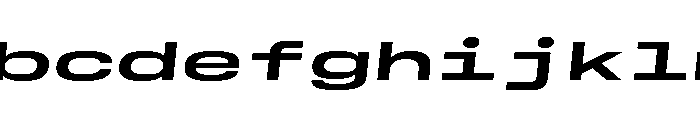 GTStandardMono ExpandedBoldOblique FONT