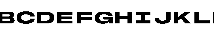 GTStandardMono ExpandedHeavy Font UPPERCASE