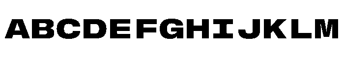 GTStandardMono ExtendedBlack Font UPPERCASE