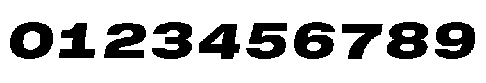 GTStandardMono ExtendedBlackOblique 2 Font OTHER CHARS