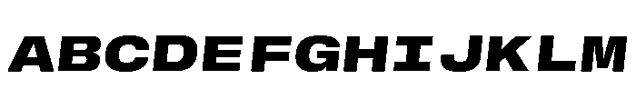 GTStandardMono ExtendedBlackOblique 2 Font UPPERCASE