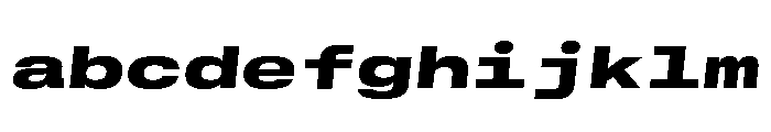 GTStandardMono ExtendedBlackOblique 2 FONT