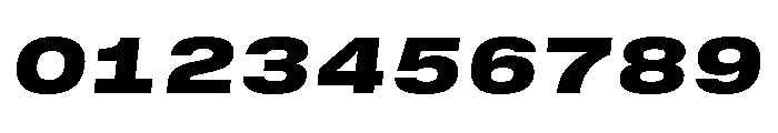 GTStandardMono ExtendedBlackOblique Font OTHER CHARS