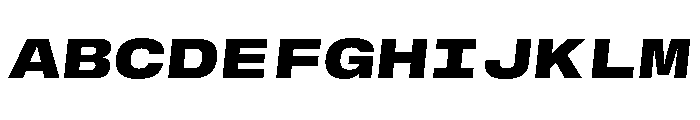 GTStandardMono ExtendedBlackOblique Font UPPERCASE