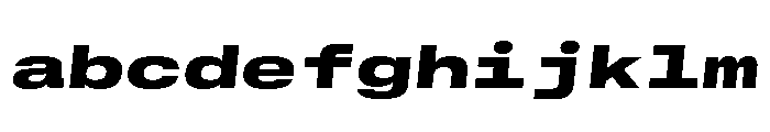 GTStandardMono ExtendedBlackOblique FONT