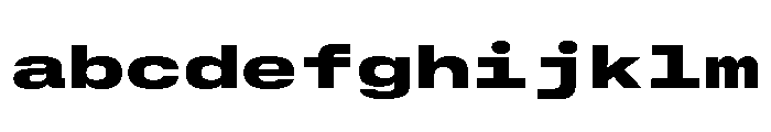 GTStandardMono ExtendedBlack FONT