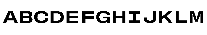 GTStandardMono ExtendedBold Font UPPERCASE