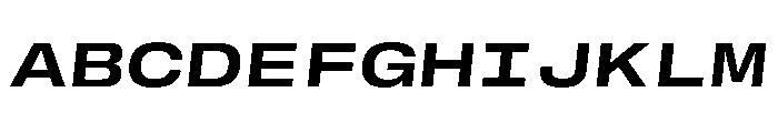 GTStandardMono ExtendedBoldOblique Font UPPERCASE