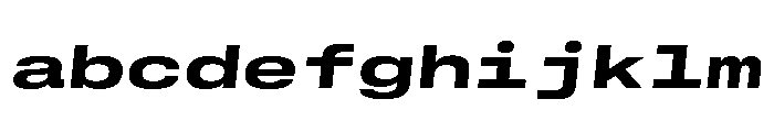 GTStandardMono ExtendedHeavyOblique 2 FONT