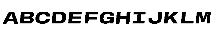 GTStandardMono ExtendedHeavyOblique Font UPPERCASE