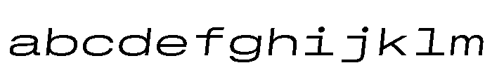 GTStandardMono ExtendedLightOblique 2 FONT