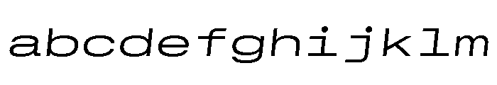 GTStandardMono ExtendedLightOblique FONT