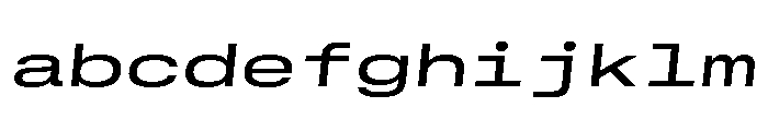 GTStandardMono ExtendedMediumOblique 2 FONT