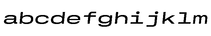 GTStandardMono ExtendedMediumOblique FONT