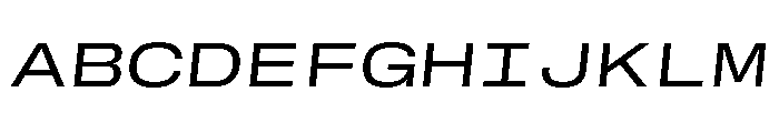 GTStandardMono ExtendedRegularOblique Font UPPERCASE