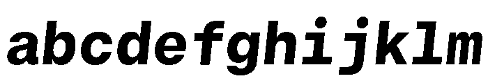 GTStandardMono HeavyOblique FONT