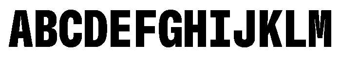 GTStandardMono NarrowBlack 2 Font UPPERCASE