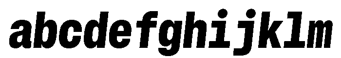 GTStandardMono NarrowBlackOblique 2 FONT