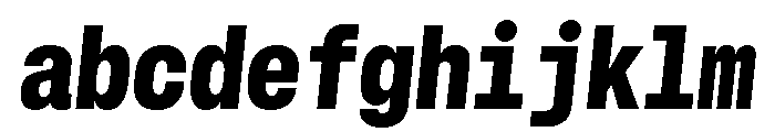 GTStandardMono NarrowBlackOblique FONT