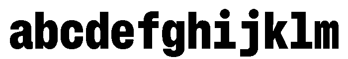 GTStandardMono NarrowBlack FONT